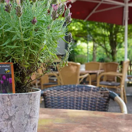 酒店 格拉斯霍夫兰德酒店 3*